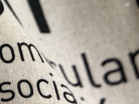 Imagen de serendipia con el titulo transparencia
